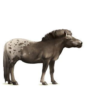 cavallo da corsa hanoverian grigio chiaro
